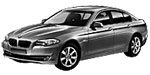 BMW F10 U20D4 Fault Code